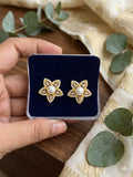 Earrings-SS-E-DASM1-612W